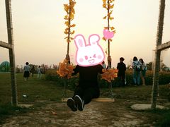 -枫林花海