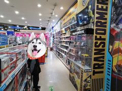 -TOYSRUS玩具反斗城(成都环球中心店)