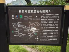 -重庆彩云湖湿地公园