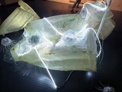 -天津美术学院-校史馆