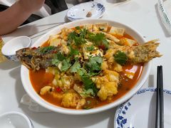 -煲来饱去冷水鱼