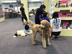 -重庆国际会议展览中心
