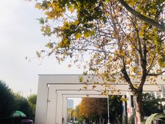-合肥市图书馆