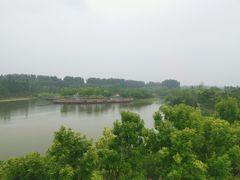 -东郊湿地公园