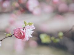 -山东师范大学(千佛山校区)