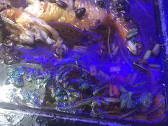 -炉鱼(云澜湾店)