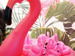 -Flamingo Bloom(TST /尖沙咀店)