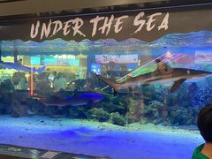 -凯德广场(学府店)