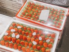 -西郊国际农产品交易中心