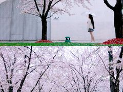 -龙美术馆(西岸馆)