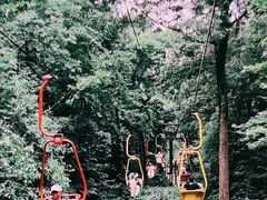 -WeLope紫金山探险公园