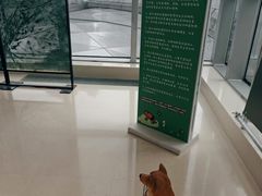 -AIRPARK爱野屋顶运动公园