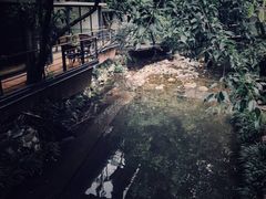 -乐领拈花溪·林涧食韵