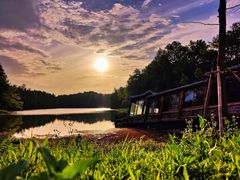 -上海海湾国家森林公园