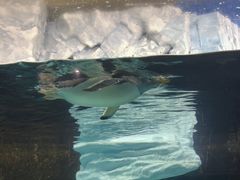 -成都浩海立方海洋公园