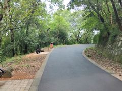 -大蜀山国家森林公园