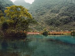 -靖西鹅泉风景区