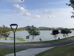 -羊山湖公园