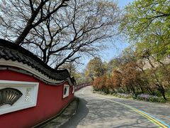 -句容茅山景区
