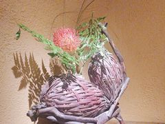-觀芷隐轩
