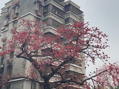 -黄埔古港