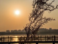 -艾溪湖湿地公园