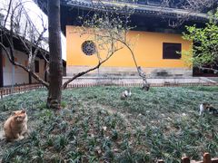 -西园戒幢律寺