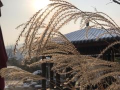 -太白山御龙湾温泉