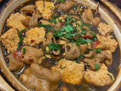 臭大元烧肥肠-壶园美食·淮扬菜(东圈门店)