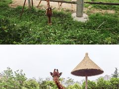 -南昌动物园