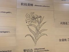 -云溪植物园