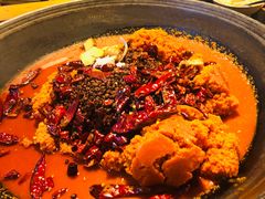 -肥龙火锅(南坪店)