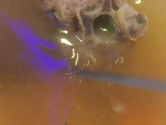 -维吾尔餐厅(宜山路店)