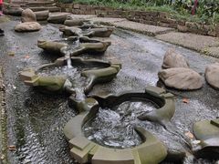 -成都市活水公园