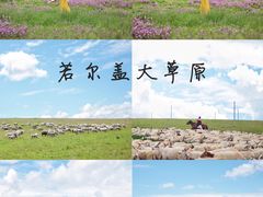 -四川郎木寺镇