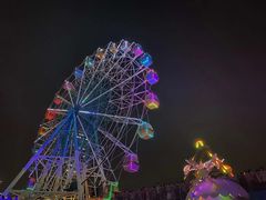 -巨鹏飞梦幻海岸