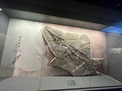 -贵州省地质博物馆
