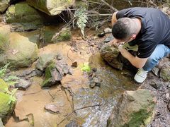 -铁山坪森林公园