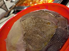 -二荆条·蜀鲜汇城市森林火锅