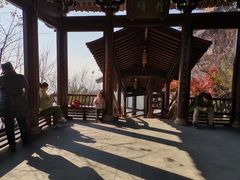 -杭州半山国家森林公园