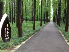 SS-上海怡沁园度假酒店