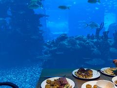 -海棠湾洲际-涛·海底餐厅·美人鱼·自助餐·海底隧道