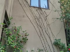 -良渚文化村