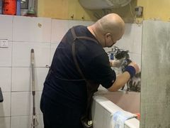 -酷狗靓猫宠物·洗护·美容·寄养(航北路店)