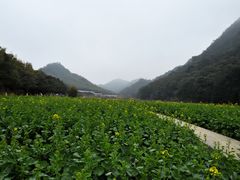 -广州市石门国家森林公园