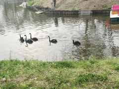 -沈阳森林动物园