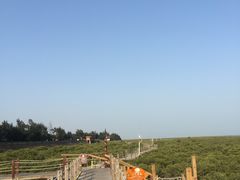 -北海金海湾红树林生态旅游区