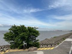 -上海滨江森林公园