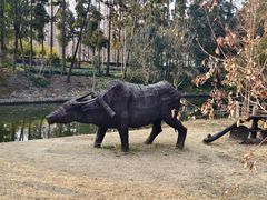 -上海长兴岛郊野公园