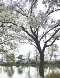 -玄武湖景区-情侣园游乐场
